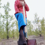 91丝姬(tw橘娘) 合集下载-[6V-3.91G]-死宅屋