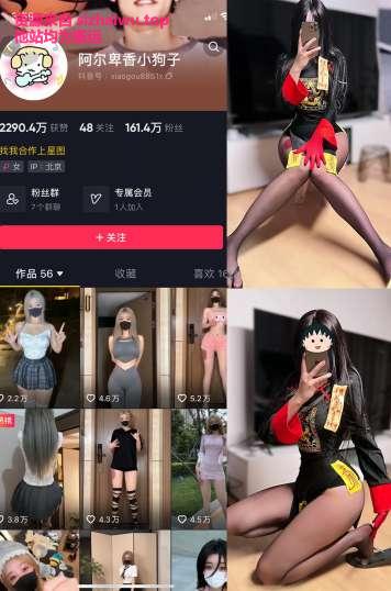 图片[1]-阿尔卑香小狗子 37套合集下载-[864P-21V-194.23MB]-死宅屋