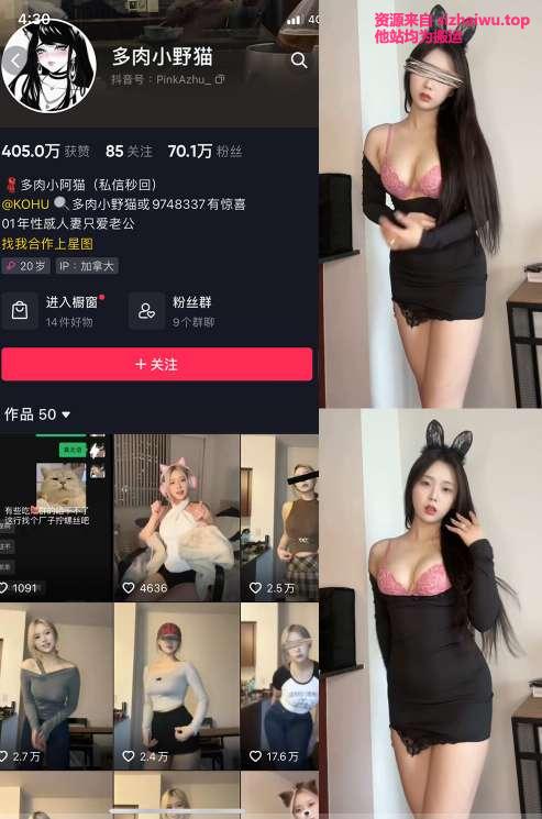 图片[1]-多肉小野猫 38套合集下载-[512MB]-死宅屋