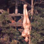 昭和女优 写真合集下载-[4.75G]-死宅屋