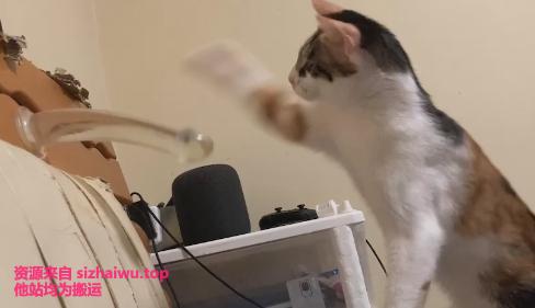 图片[6]-图片exif清理程序 & 清除图片缩略图水印-死宅屋