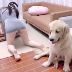 香香公主和她的爱犬 合集下载-[4P-8V-6.14GB]-死宅屋