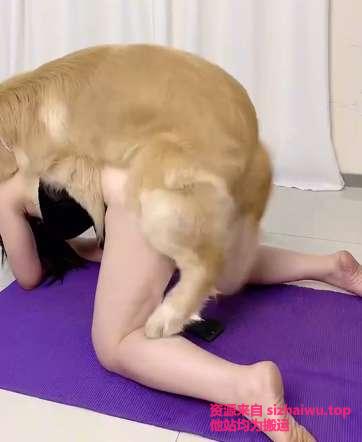 图片[11]-香香公主和她的爱犬 合集下载-[4P-8V-6.14GB]-死宅屋