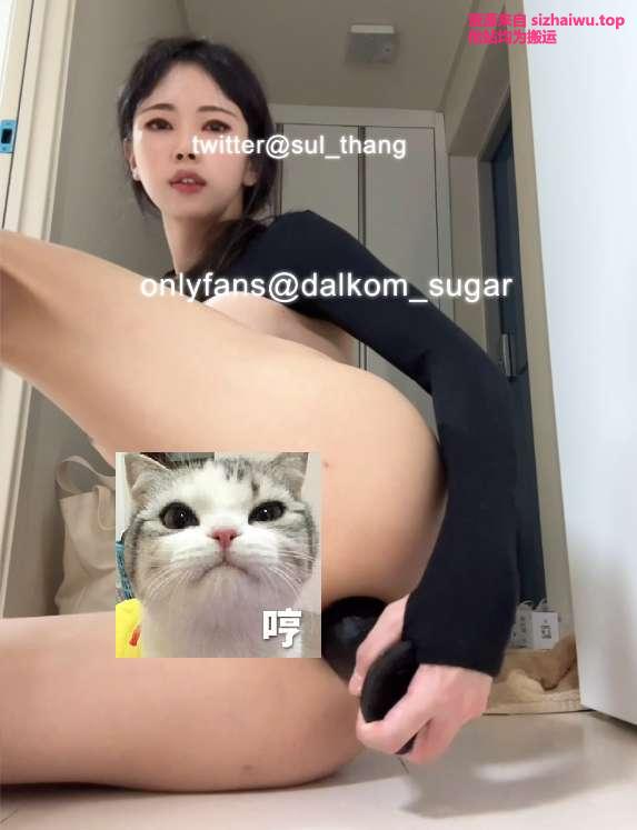 dalkom_sugar 合集下载-[496P-130V-117.88GB]